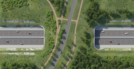 A aerial view of a wide bridge over a road covered with grass and vegetation
