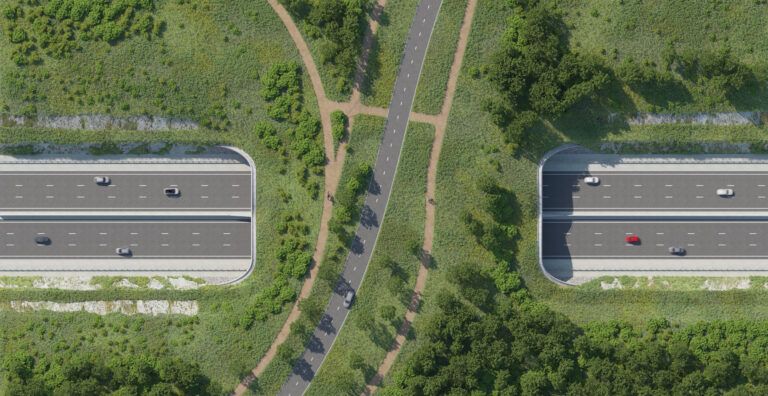 A aerial view of a wide bridge over a road covered with grass and vegetation