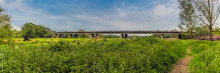 A panorama view from the banks of the River Nene towards the modern motorway viaduct for the A14