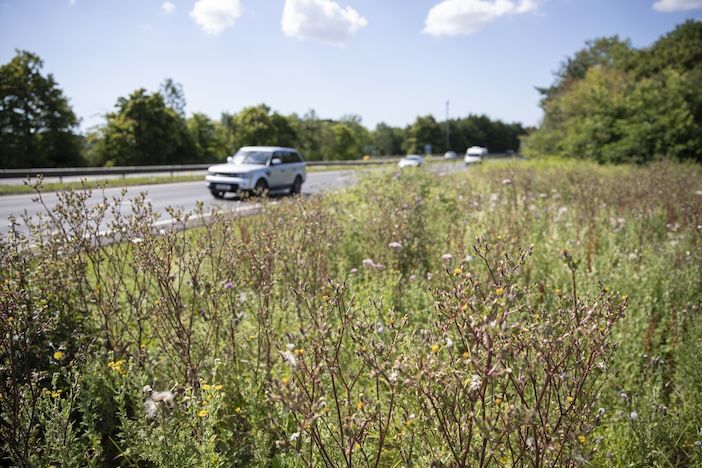 Suicide prevention assessments now mandatory for UK road projects ...